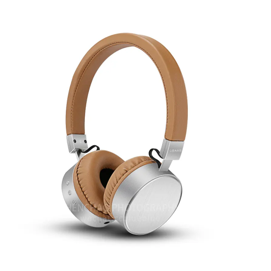 Condenser Microphone